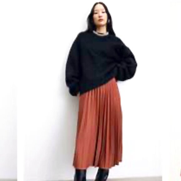 H&M SZ10 Dark Rust Pleated Midi Skirt Modern Minimalist Monochrome Sophisticated - Picture 2 of 11